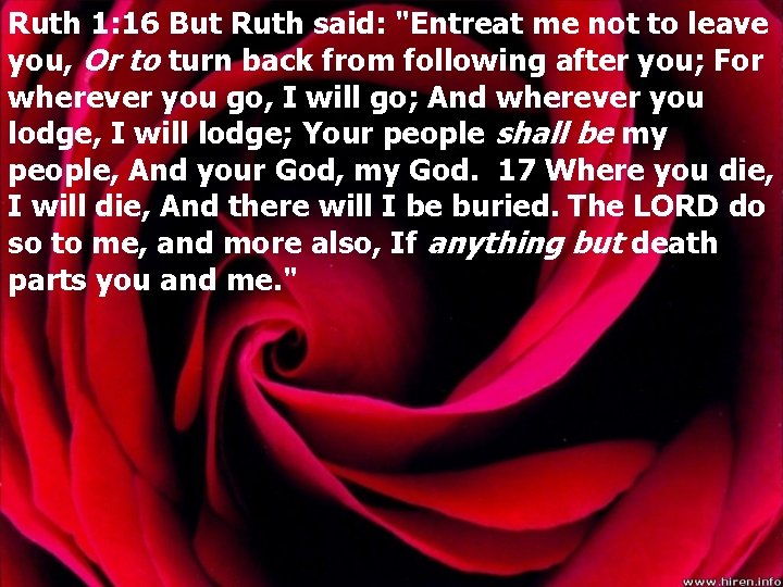 Ruth 1: 16 But Ruth said: "Entreat me not to leave you, Or to