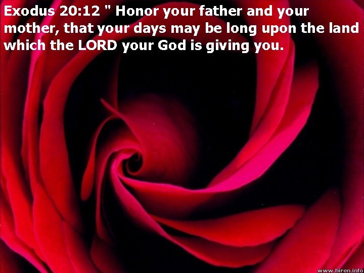 Exodus 20: 12 " Honor your father and your mother, that your days may