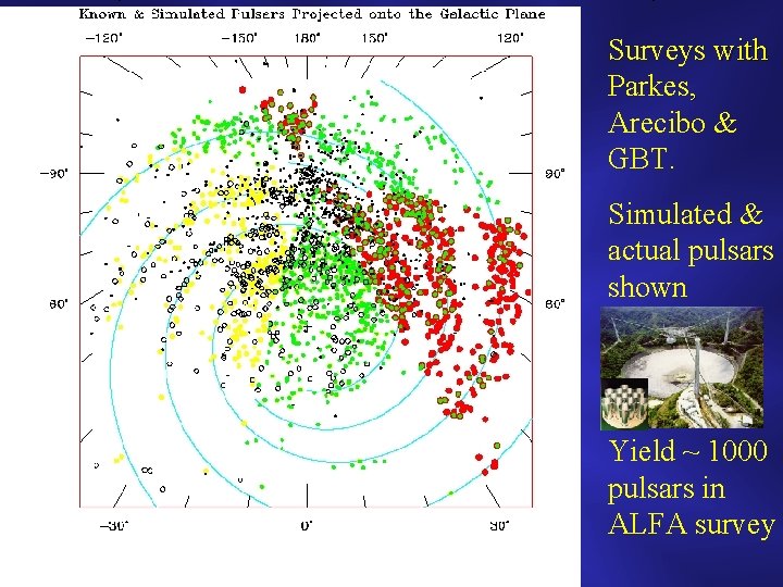 Surveys with Parkes, Arecibo & GBT. Simulated & actual pulsars shown Yield ~ 1000