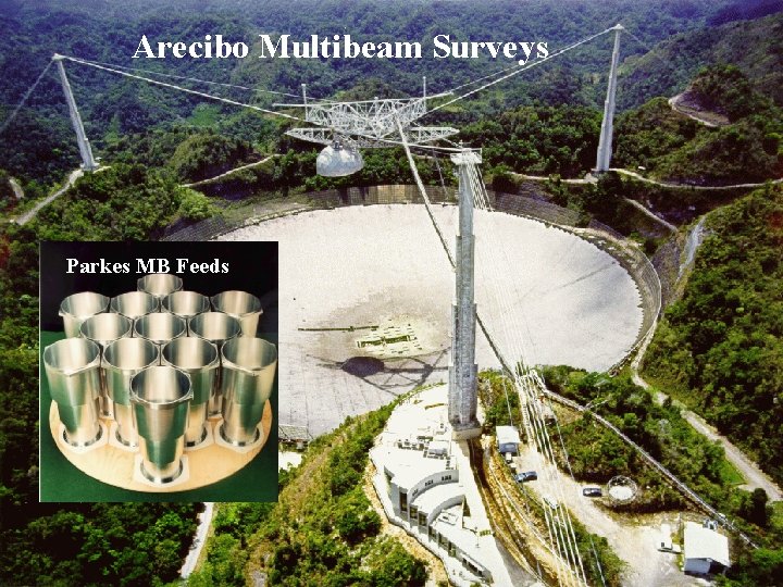 Arecibo Multibeam Surveys Parkes MB Feeds 