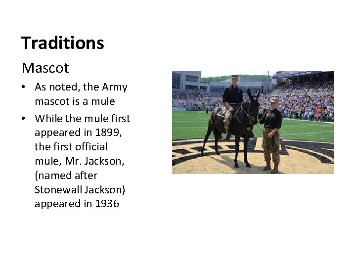 Traditions Mascot • As noted, the Army mascot is a mule • While the