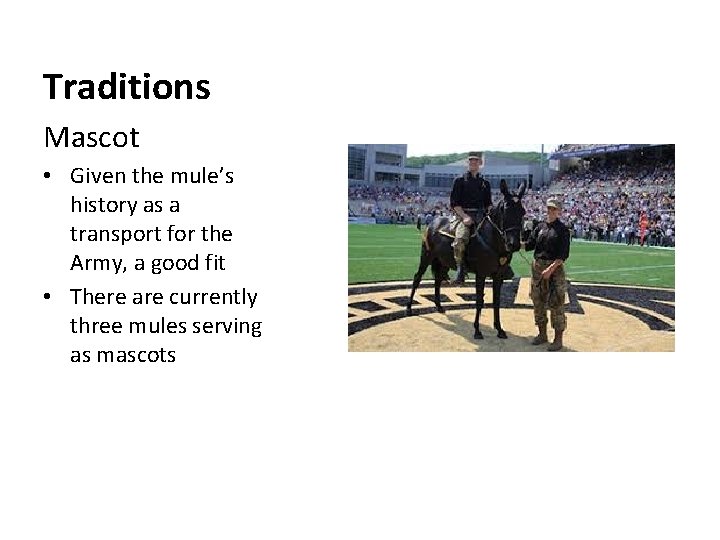 Traditions Mascot • Given the mule’s history as a transport for the Army, a