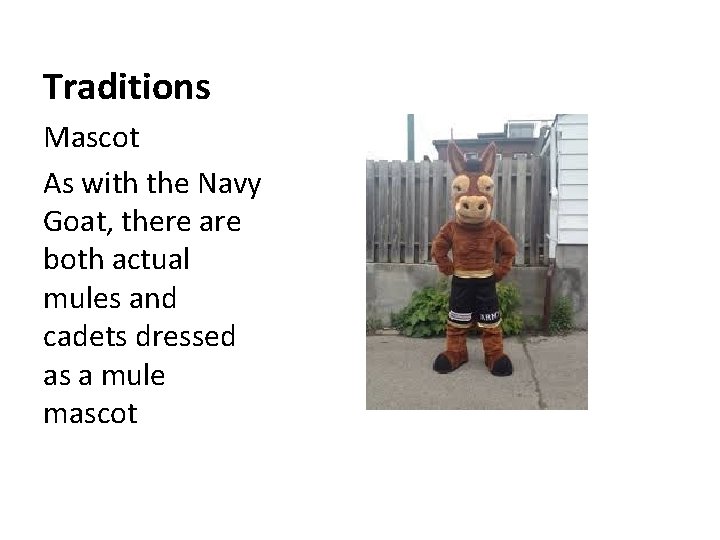 Traditions Mascot As with the Navy Goat, there are both actual mules and cadets