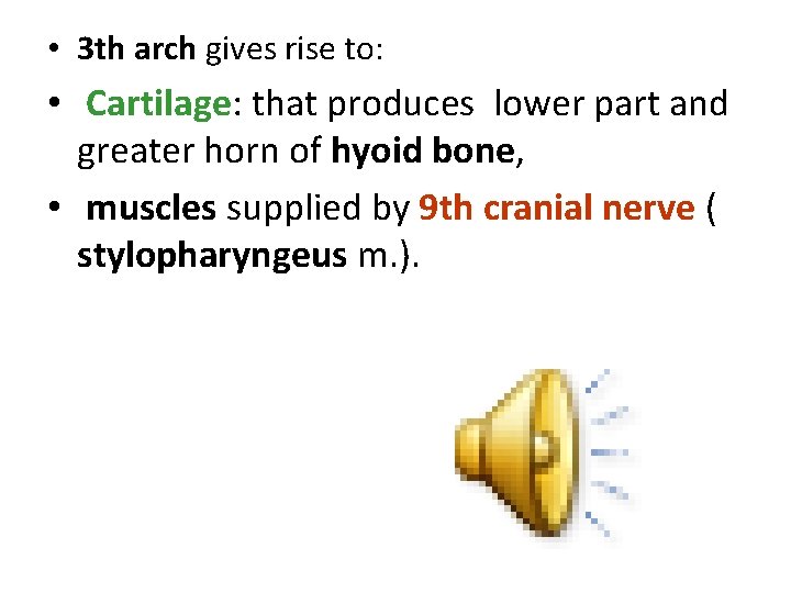  • 3 th arch gives rise to: • Cartilage: that produces lower part