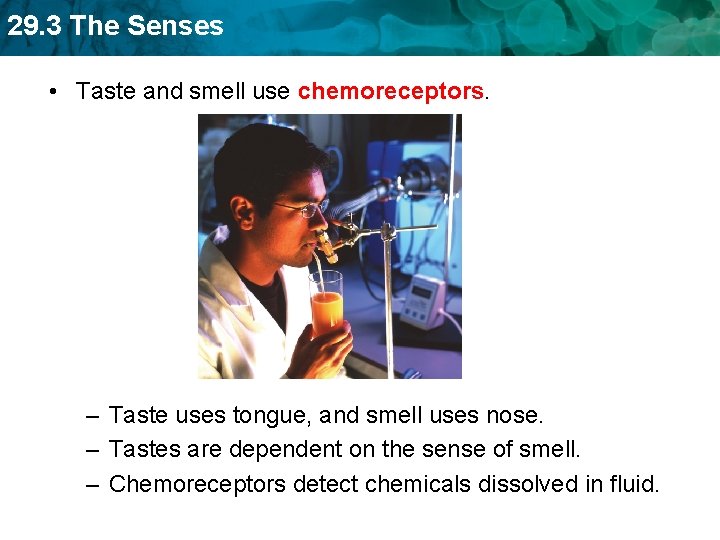 29. 3 The Senses • Taste and smell use chemoreceptors. – Taste uses tongue,