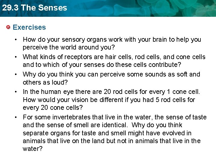 29. 3 The Senses Exercises • How do your sensory organs work with your