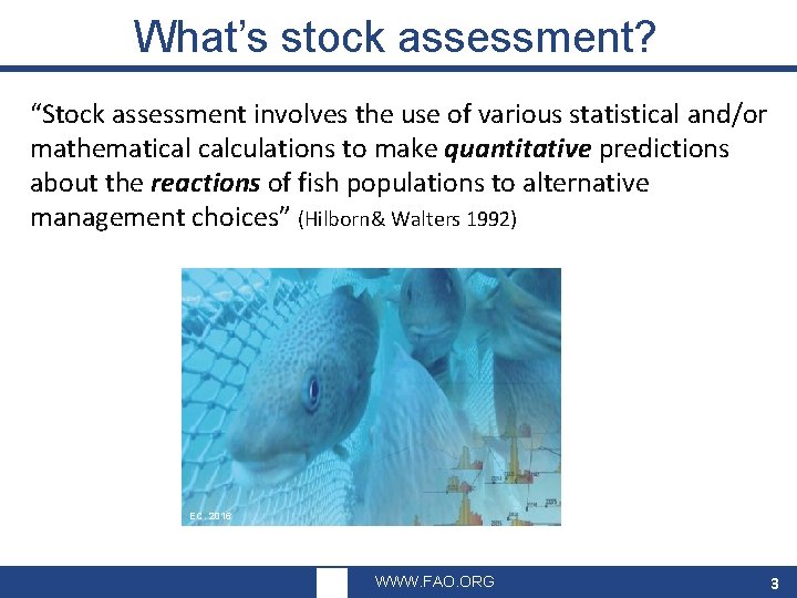 What’s stock assessment? “Stock assessment involves the use of various statistical and/or mathematical calculations