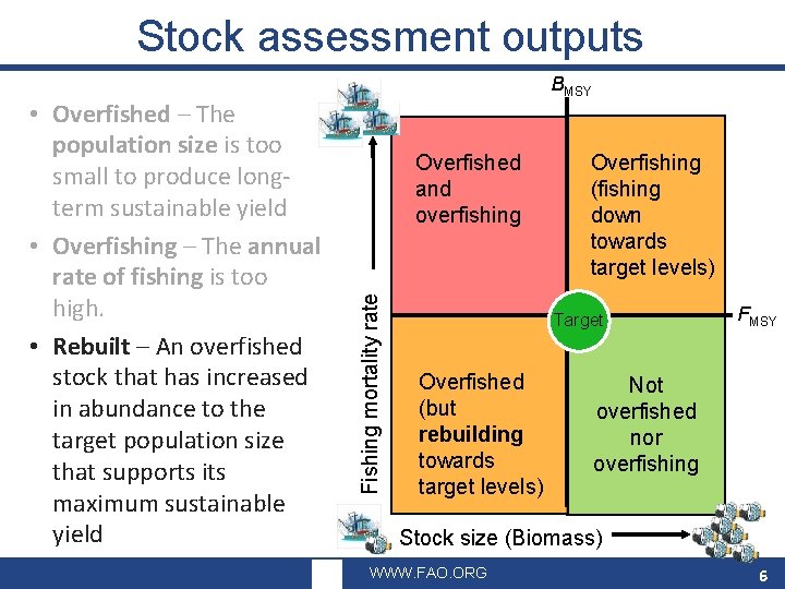 Stock assessment outputs BMSY Overfished and overfishing Fishing mortality rate • Overfished – The