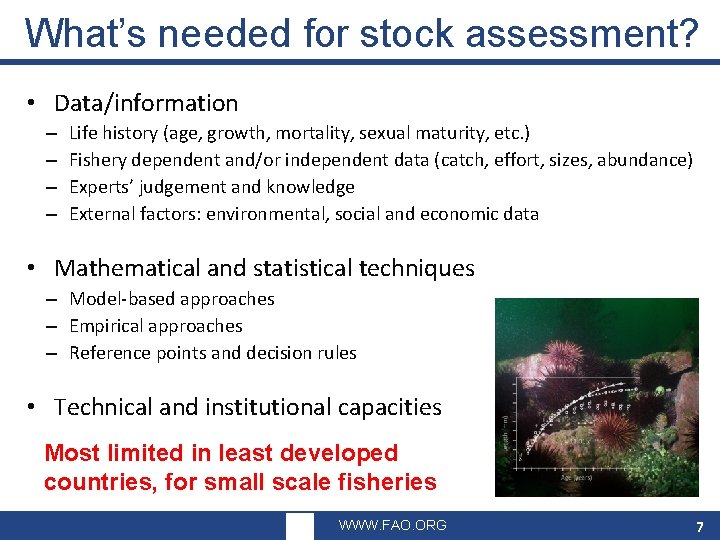 What’s needed for stock assessment? • Data/information – – Life history (age, growth, mortality,