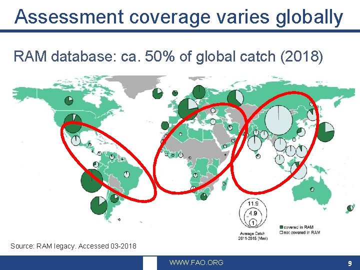 Assessment coverage varies globally RAM database: ca. 50% of global catch (2018) Source: RAM