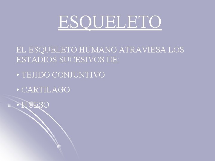 ESQUELETO EL ESQUELETO HUMANO ATRAVIESA LOS ESTADIOS SUCESIVOS DE: • TEJIDO CONJUNTIVO • CARTILAGO