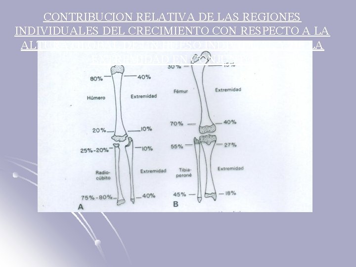 CONTRIBUCION RELATIVA DE LAS REGIONES INDIVIDUALES DEL CRECIMIENTO CON RESPECTO A LA ALTURA GLOBAL