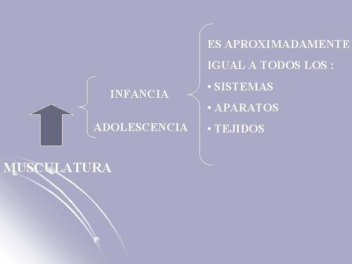 ES APROXIMADAMENTE IGUAL A TODOS LOS : INFANCIA • SISTEMAS • APARATOS ADOLESCENCIA MUSCULATURA