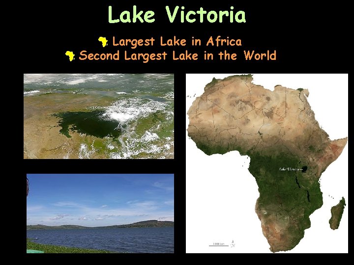 Lake Victoria # Largest Lake in Africa # Second Largest Lake in the World