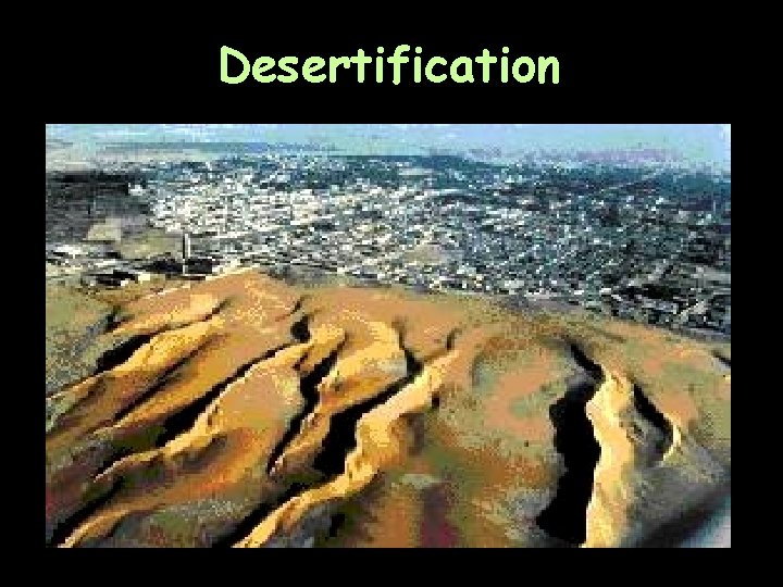 Desertification 