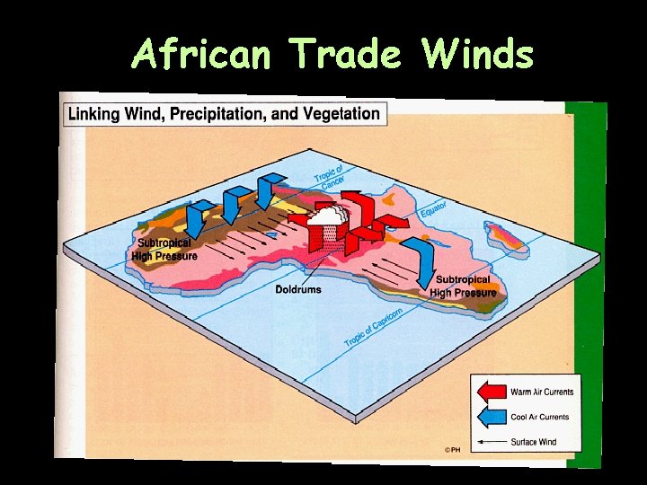 African Trade Winds 