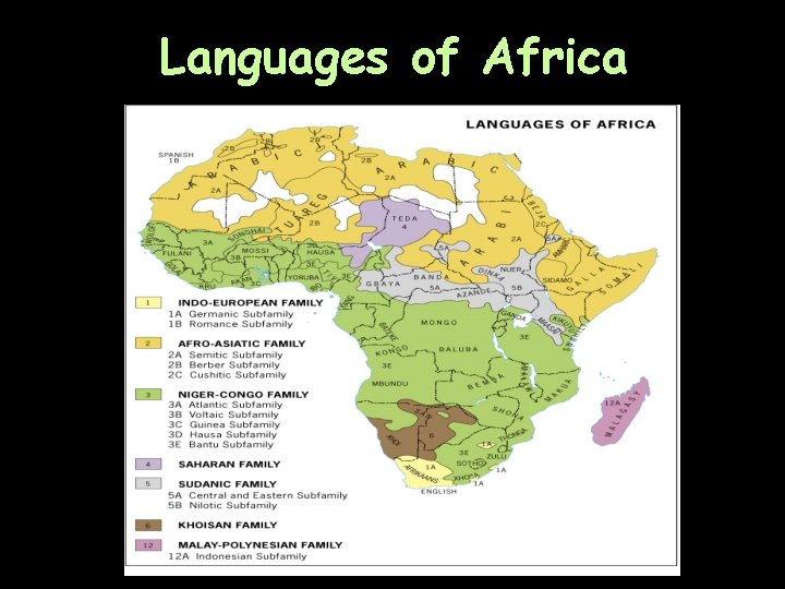 Languages of Africa 