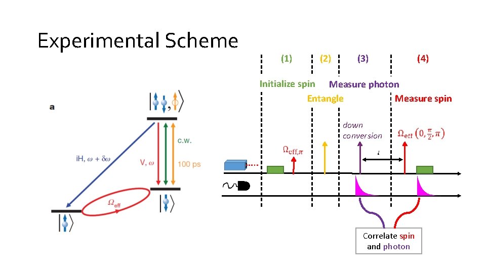 Experimental Scheme (1) (2) (3) (4) Initialize spin Measure photon Measure spin Entangle down