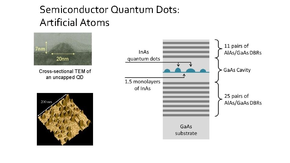 Semiconductor Quantum Dots: Artificial Atoms 