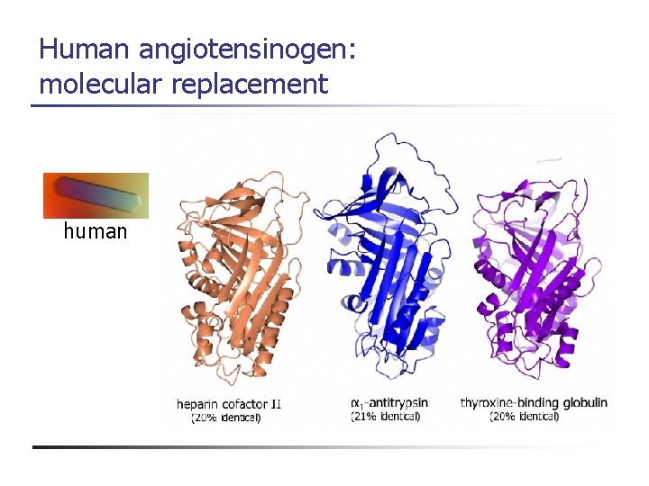 Human angiotensinogen: molecular replacement human 
