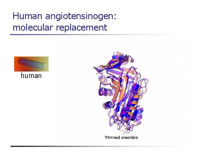 Human angiotensinogen: molecular replacement human 