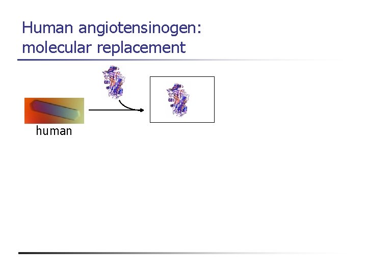 Human angiotensinogen: molecular replacement human 