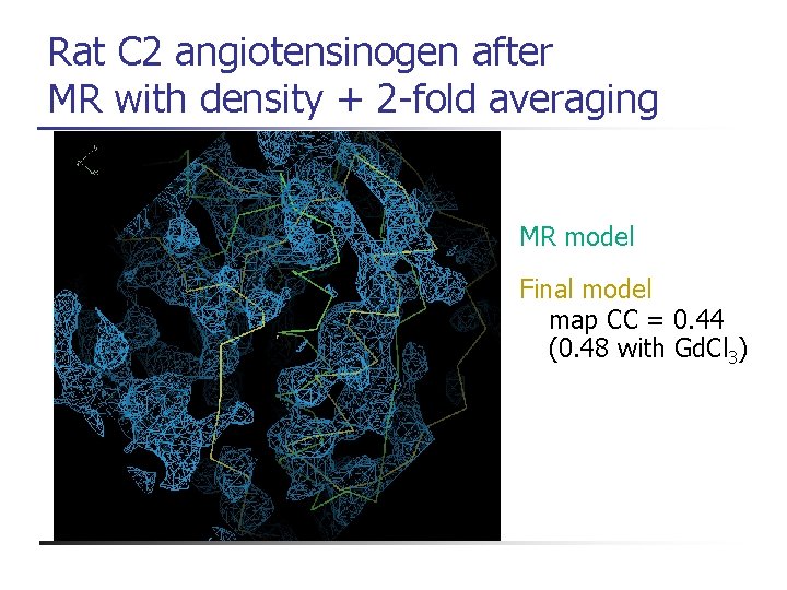 Rat C 2 angiotensinogen after MR with density + 2 -fold averaging MR model