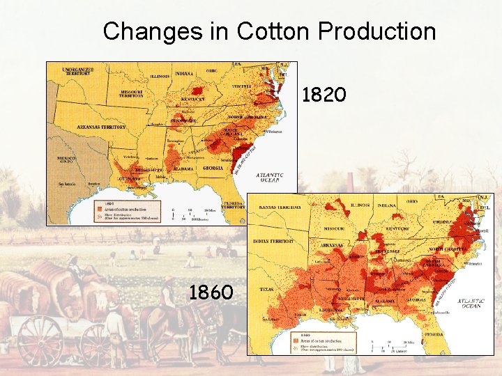 Changes in Cotton Production 1820 1860 