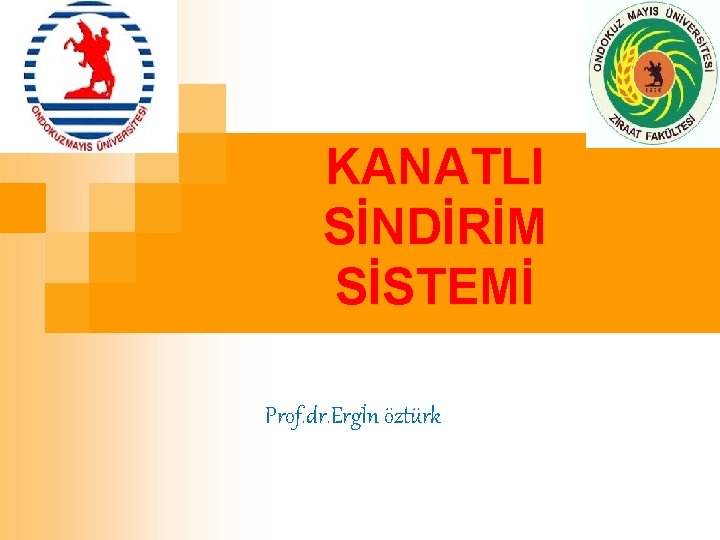 KANATLI SİNDİRİM SİSTEMİ Prof. dr. Ergİn öztürk 