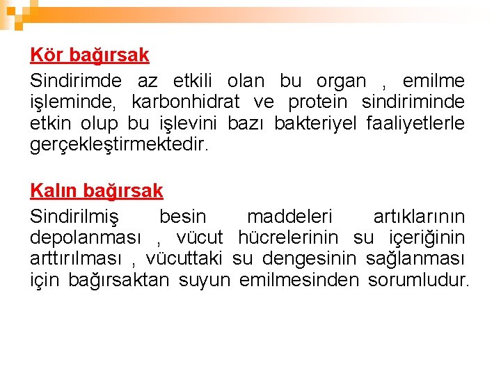 Kör bağırsak Sindirimde az etkili olan bu organ , emilme işleminde, karbonhidrat ve protein