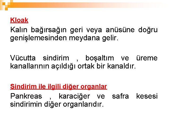 Kloak Kalın bağırsağın geri veya anüsüne doğru genişlemesinden meydana gelir. Vücutta sindirim , boşaltım