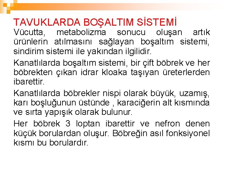 TAVUKLARDA BOŞALTIM SİSTEMİ Vücutta, metabolizma sonucu oluşan artık ürünlerin atılmasını sağlayan boşaltım sistemi, sindirim