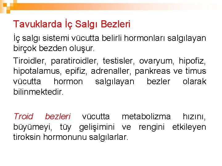 Tavuklarda İç Salgı Bezleri İç salgı sistemi vücutta belirli hormonları salgılayan birçok bezden oluşur.