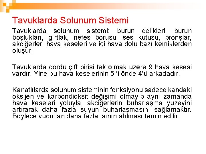 Tavuklarda Solunum Sistemi Tavuklarda solunum sistemi; burun delikleri, burun boşlukları, gırtlak, nefes borusu, ses