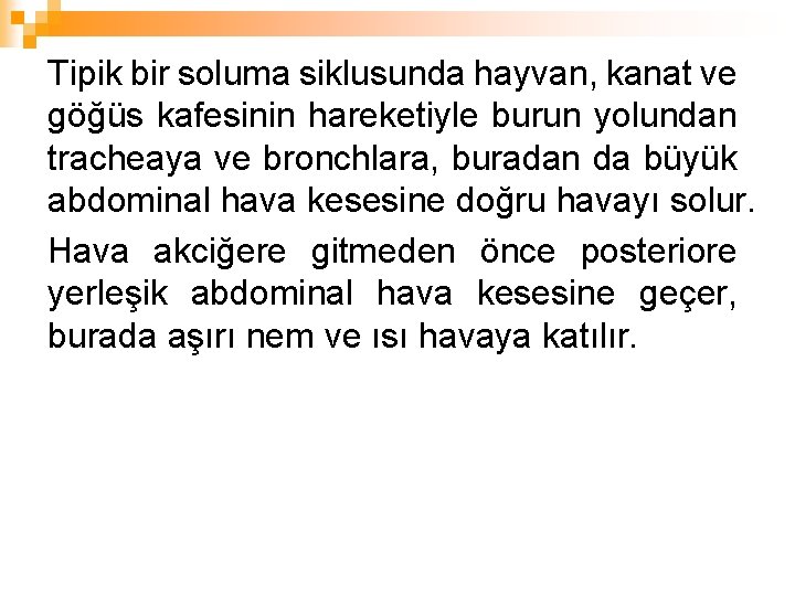 Tipik bir soluma siklusunda hayvan, kanat ve göğüs kafesinin hareketiyle burun yolundan tracheaya ve