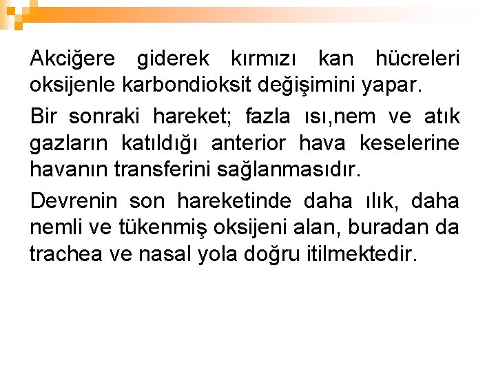 Akciğere giderek kırmızı kan hücreleri oksijenle karbondioksit değişimini yapar. Bir sonraki hareket; fazla ısı,