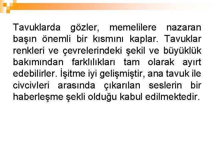 Tavuklarda gözler, memelilere nazaran başın önemli bir kısmını kaplar. Tavuklar renkleri ve çevrelerindeki şekil