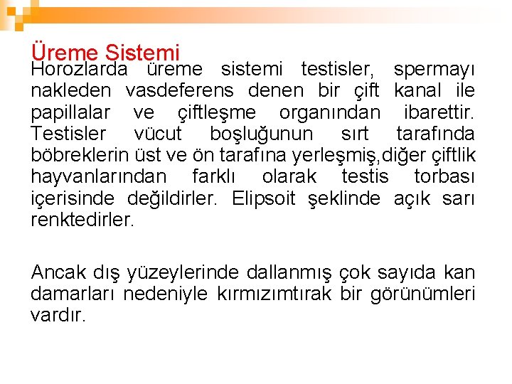 Üreme Sistemi Horozlarda üreme sistemi testisler, spermayı nakleden vasdeferens denen bir çift kanal ile