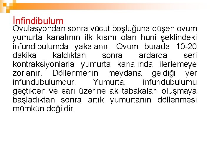 İnfindibulum Ovulasyondan sonra vücut boşluğuna düşen ovum yumurta kanalının ilk kısmı olan huni şeklindeki