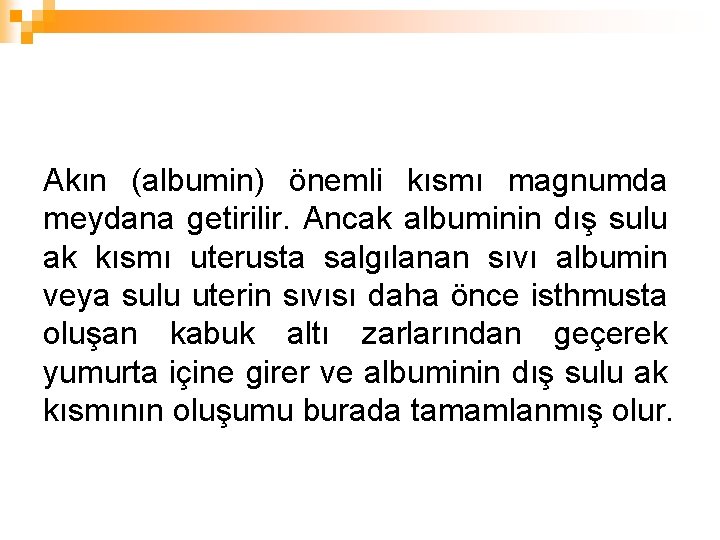 Akın (albumin) önemli kısmı magnumda meydana getirilir. Ancak albuminin dış sulu ak kısmı uterusta