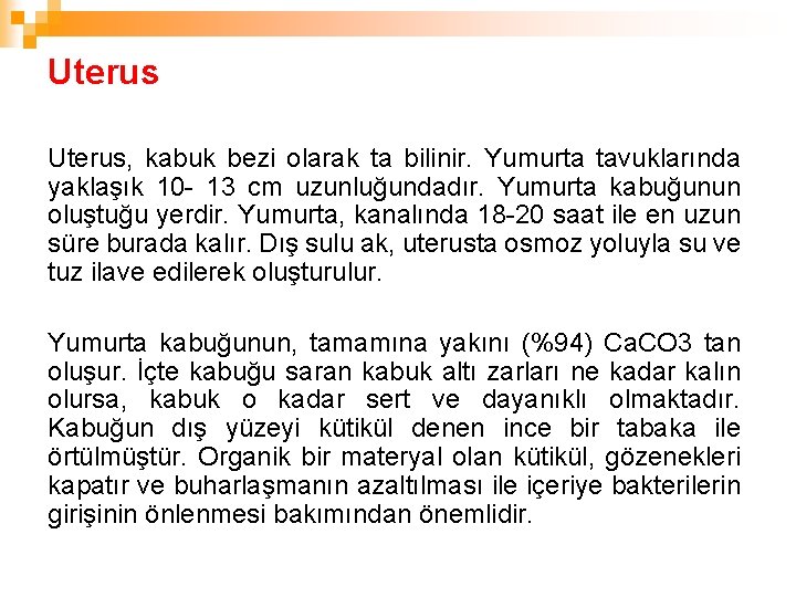Uterus, kabuk bezi olarak ta bilinir. Yumurta tavuklarında yaklaşık 10 - 13 cm uzunluğundadır.