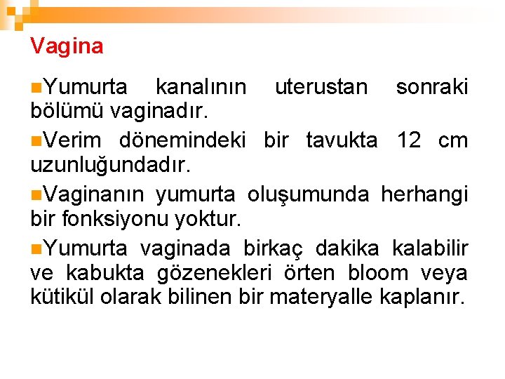 Vagina n. Yumurta kanalının uterustan sonraki bölümü vaginadır. n. Verim dönemindeki bir tavukta 12