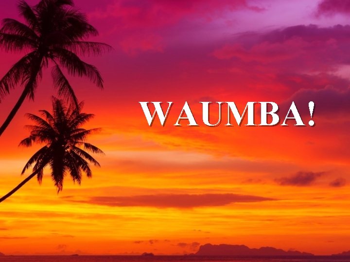 WAUMBA! 