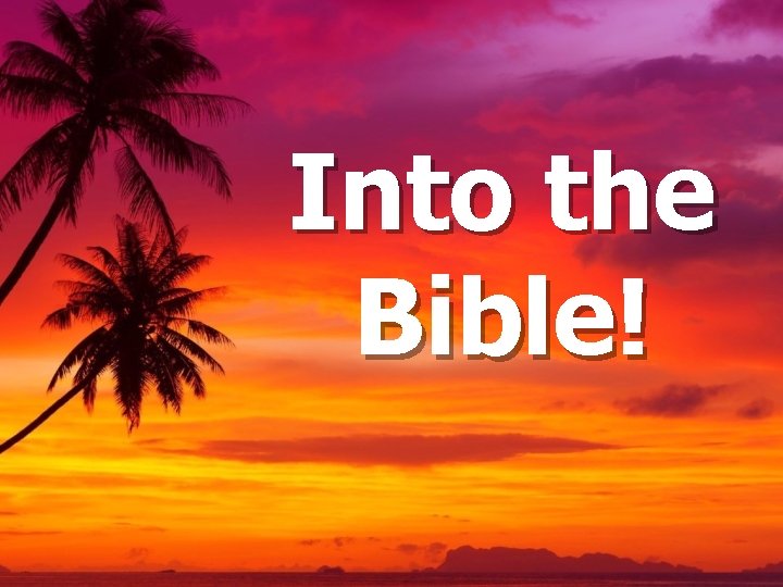 Into the Bible! 