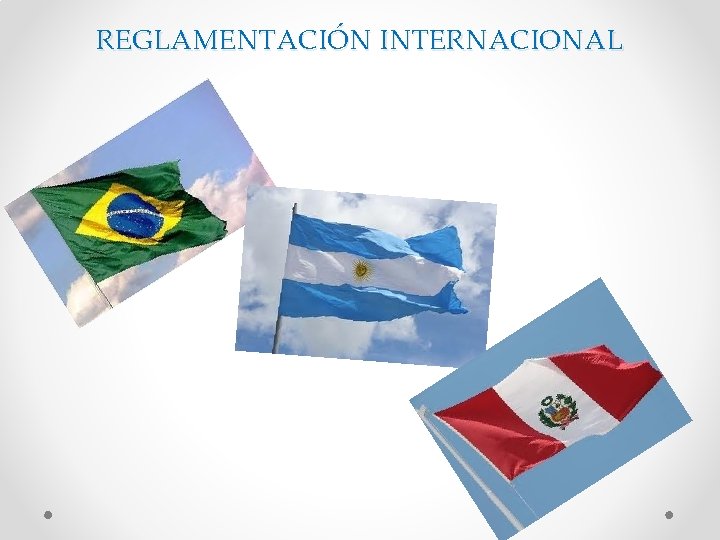 REGLAMENTACIÓN INTERNACIONAL 