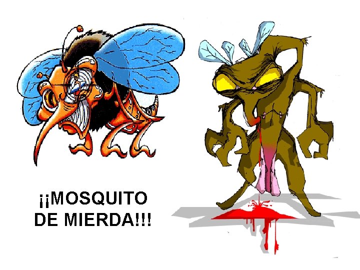 ¡¡MOSQUITO DE MIERDA!!! 