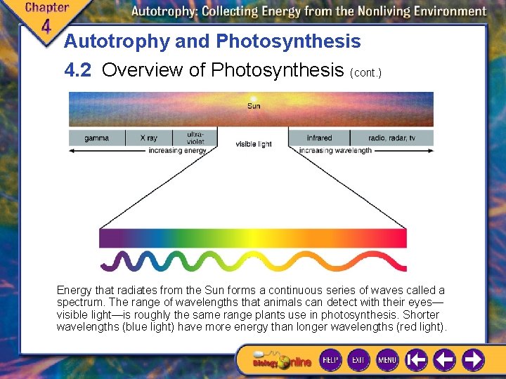 Autotrophy and Photosynthesis 4. 2 Overview of Photosynthesis (cont. ) Energy that radiates from Autotrophy and Photosynthesis 4. 2 Overview of Photosynthesis (cont. ) Energy that radiates from