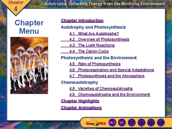 Chapter Menu Chapter Introduction Autotrophy and Photosynthesis 4. 1 What Are Autotrophs? 4. 2 Chapter Menu Chapter Introduction Autotrophy and Photosynthesis 4. 1 What Are Autotrophs? 4. 2