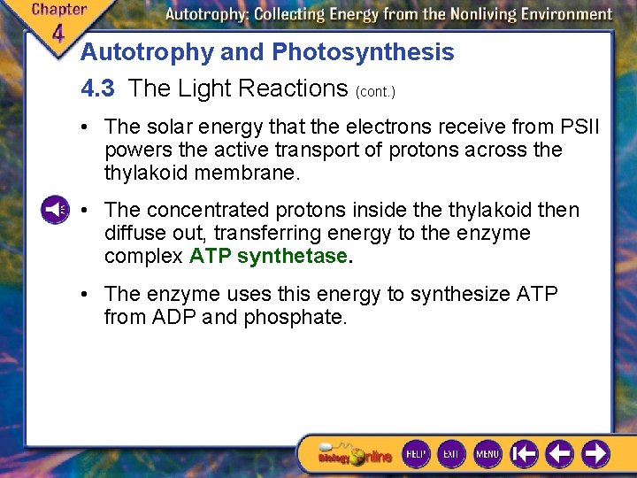 Autotrophy and Photosynthesis 4. 3 The Light Reactions (cont. ) • The solar energy Autotrophy and Photosynthesis 4. 3 The Light Reactions (cont. ) • The solar energy