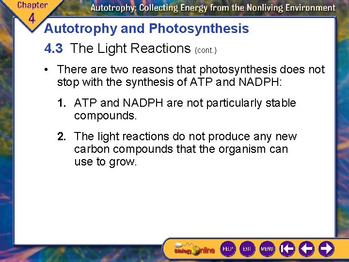 Autotrophy and Photosynthesis 4. 3 The Light Reactions (cont. ) • There are two Autotrophy and Photosynthesis 4. 3 The Light Reactions (cont. ) • There are two